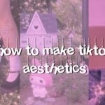 TikTok Aesthetic Videos: Lebih dari Sekadar Tren Visual, Sebuah Ekspresi Diri dan Komunitas