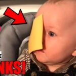 TikTok Pranks: Antara Kreativitas, Humor, dan Batasan Etika
