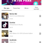 Tren Suara TikTok: Fenomena Budaya Pop yang Mengubah Cara Kita Berkreasi dan Berkomunikasi